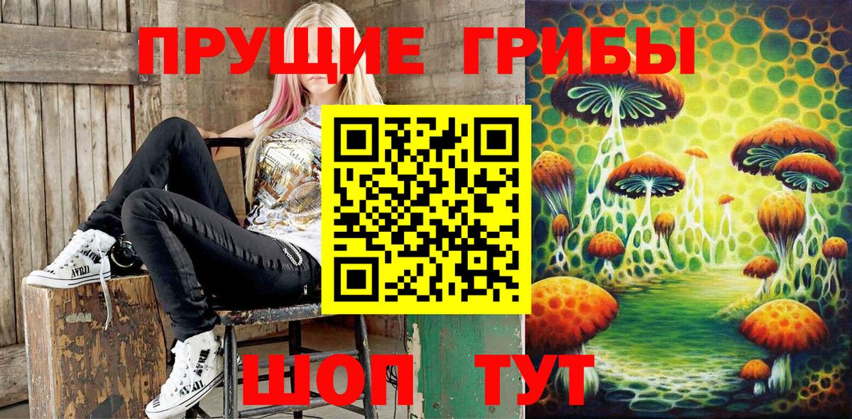 Москва  купить   Вход с VPN  Галлюциногенные грибы Psilocybe  Галлюциногенные грибы прущие грибы 